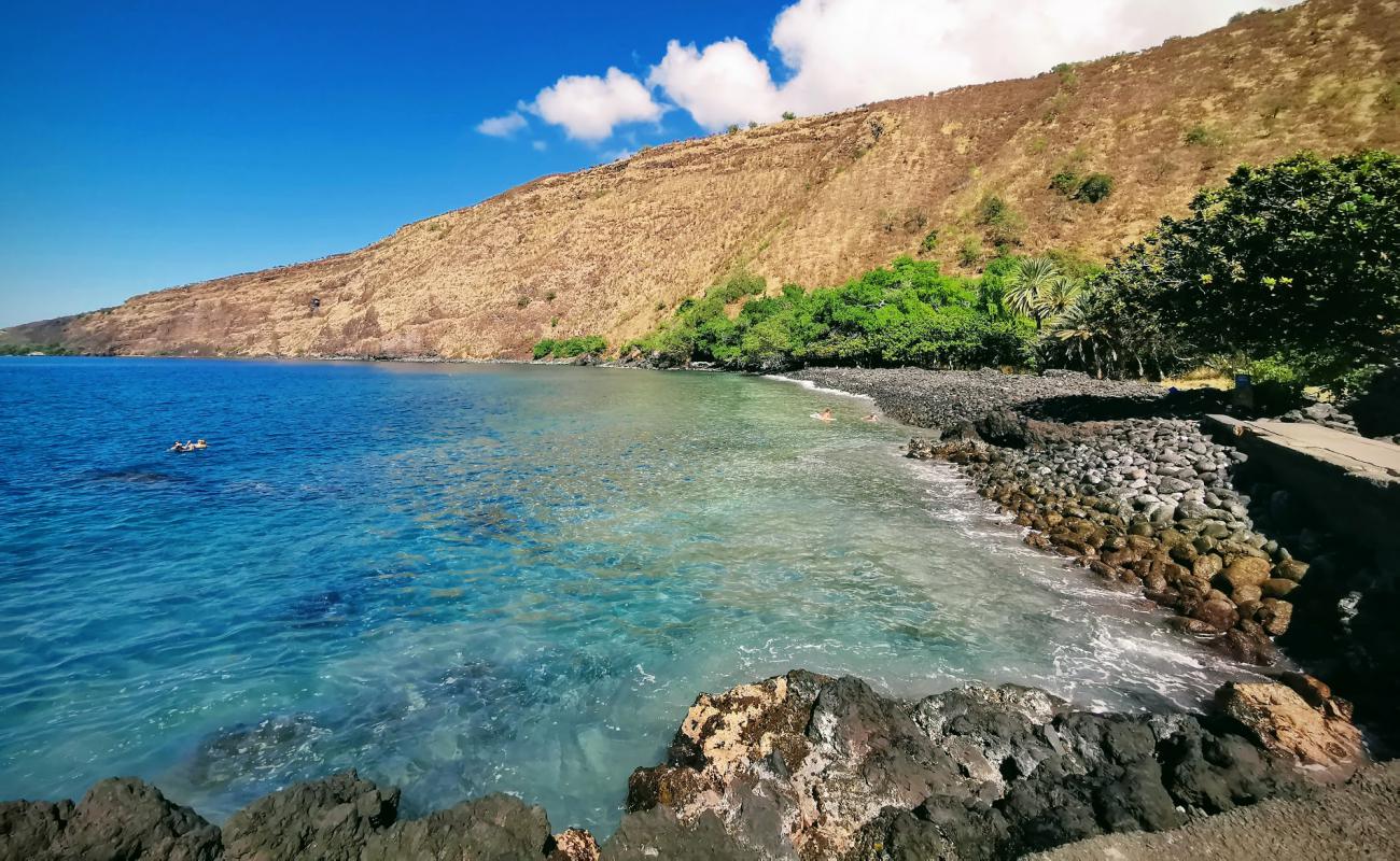 Фото Kealakekua Beach с черная галька поверхностью