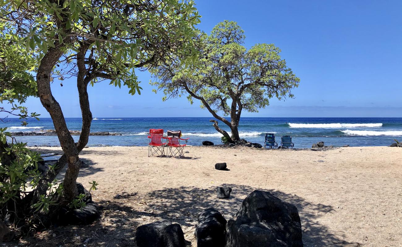 Фото Pine Trees Beach с песок с камнями поверхностью