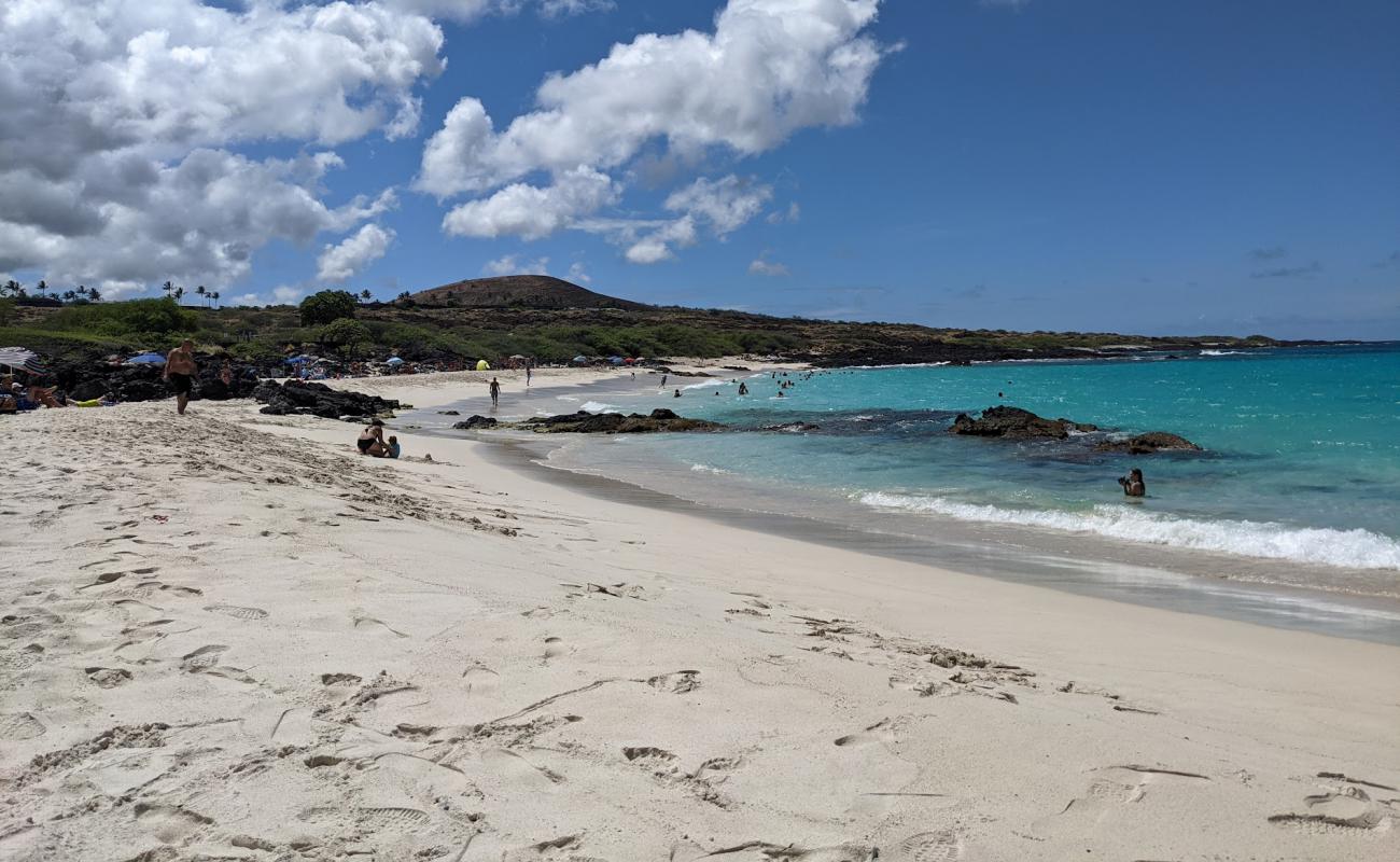 Фото Manini'owali Beach с белый чистый песок поверхностью