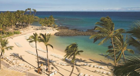 Fairmont Orchid