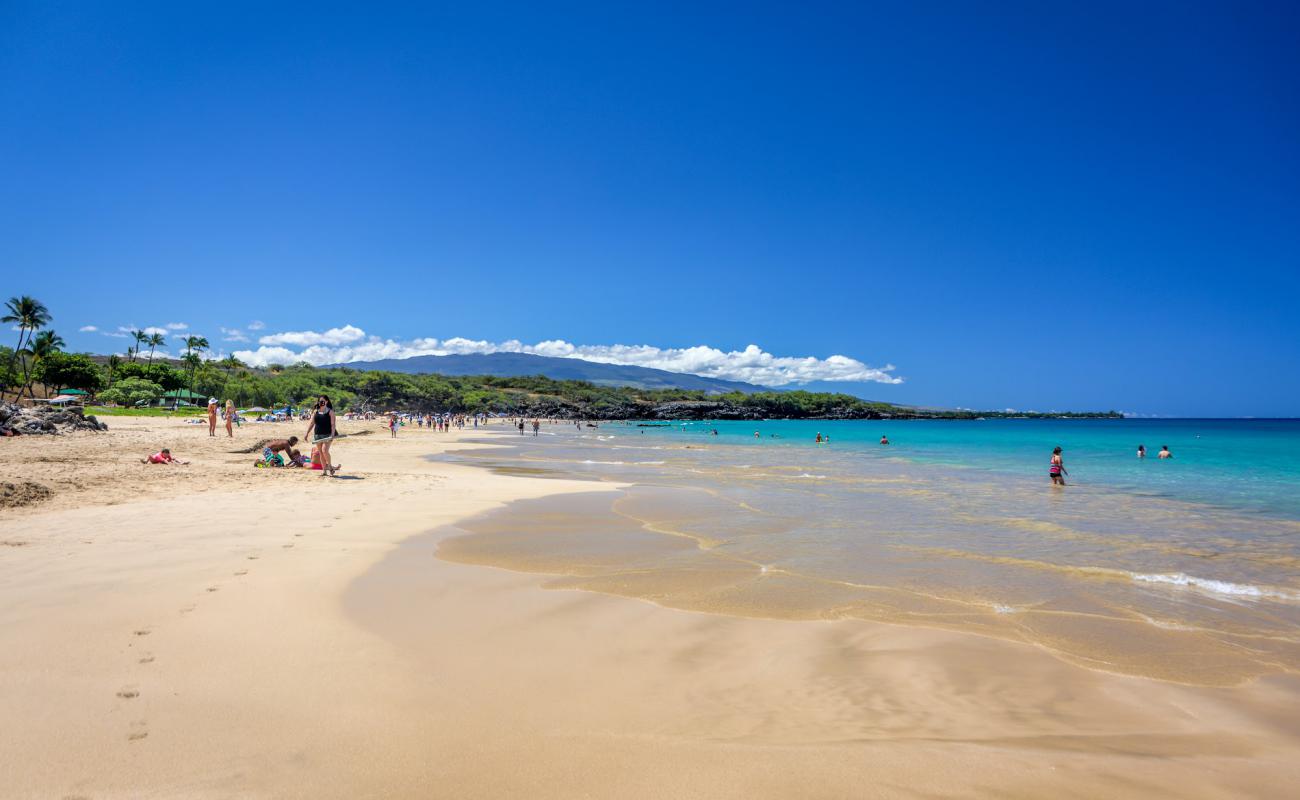 Фото Hapuna Beach с золотистый песок поверхностью