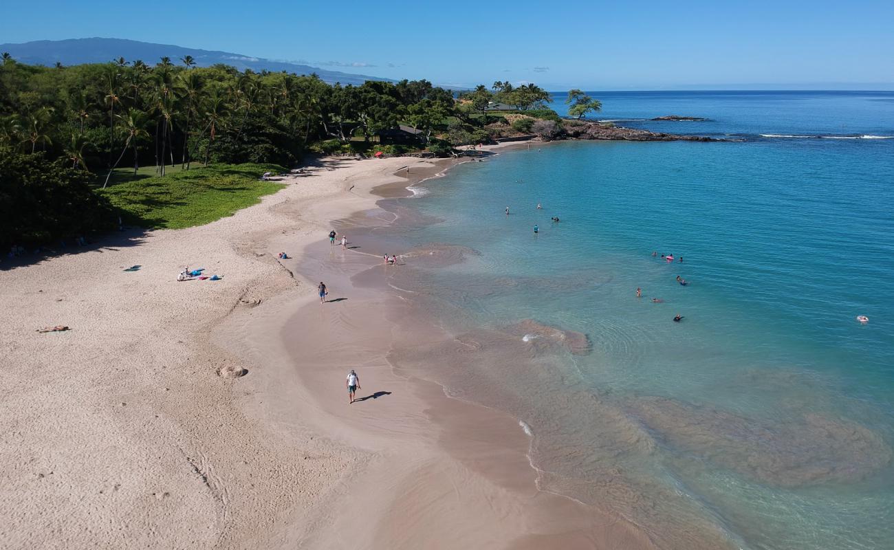 Фото KaunaʻOa (Mauna Kea) Beach с светлый песок поверхностью