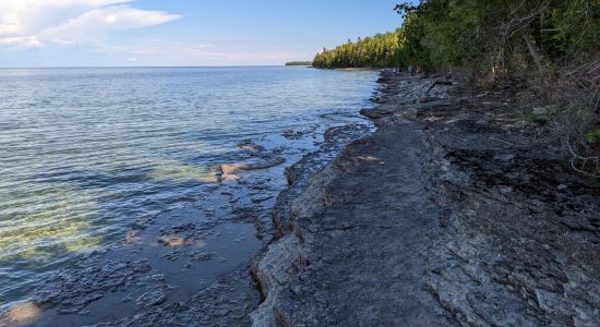 Fossil Ledges Beach