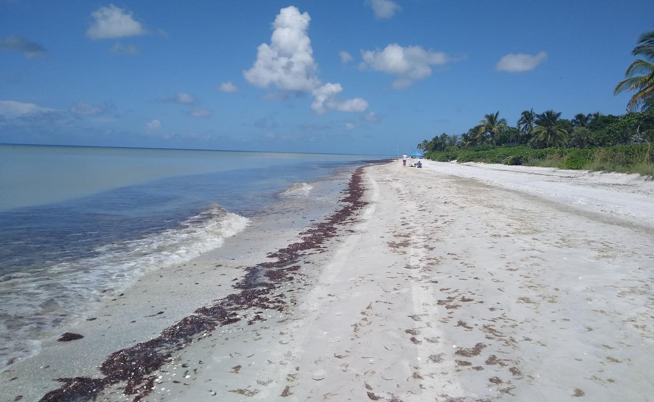 Фото Sanibel beach с белый песок поверхностью