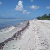 Sanibel beach