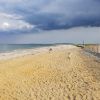 Duxbury beach