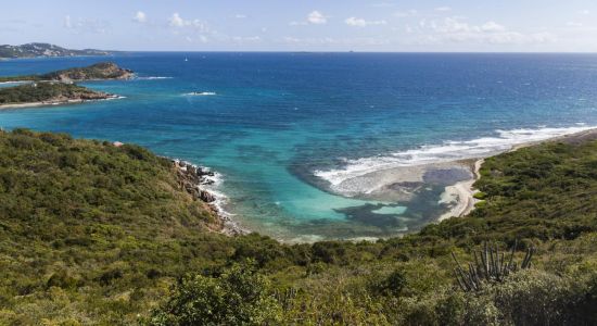 Limestone beach