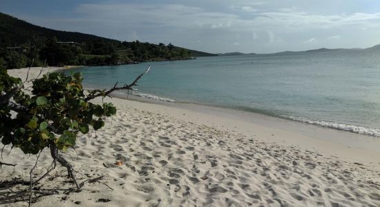 Caneel Bay beach