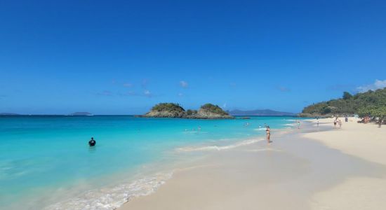 Trunk Bay