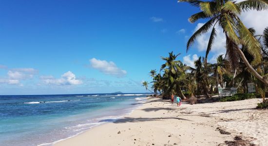 Pelican Cove beach