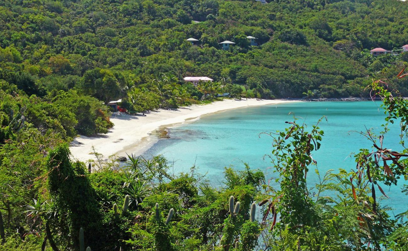 Фото White Bay beach с золотистый песок поверхностью