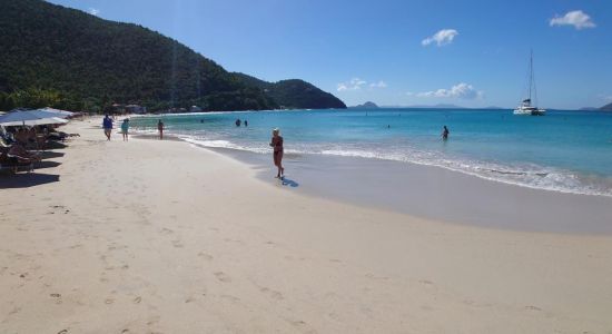 Cane Garden beach