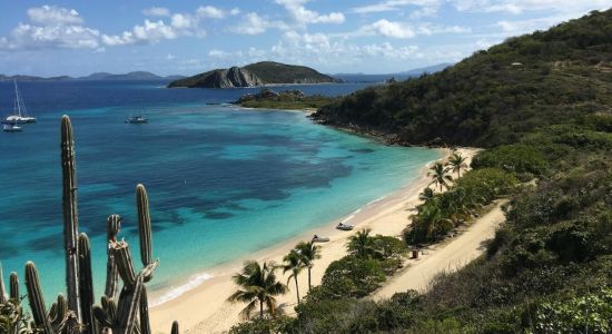 Peter Island beach