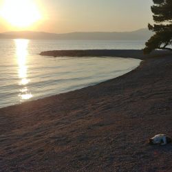 Фото Adriatic II beach зона с удобствами