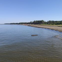 Фото Ureki Nature beach дикая зона