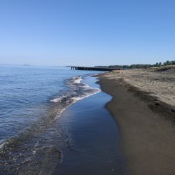 Фото Ureki Nature beach находится в природной зоне