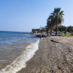 Фото Guzelcamli beach с очень чистый уровнем чистоты